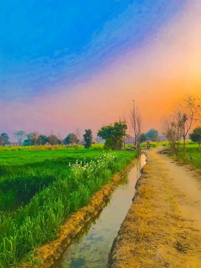 The Beauty of Punjab Village Scenery