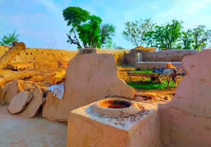 The Simple Life in a Punjab Village A Glimpse into Rural Pakistan